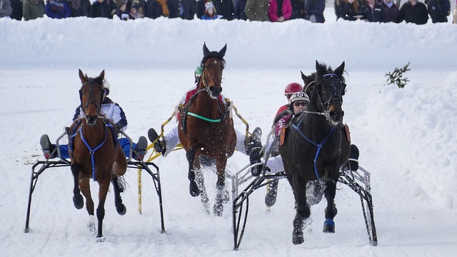 冷冻鲜果干 冷冻鲜果干