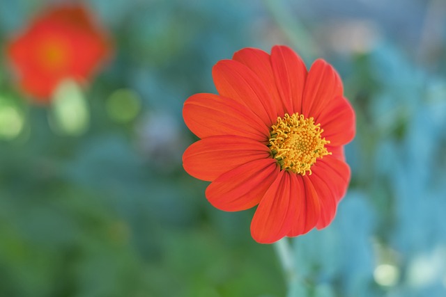 尤其是作为 尤其是作为