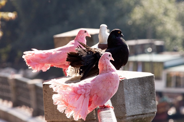 给出答案 给出答案
