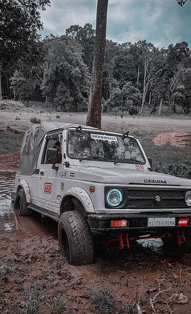 克凭借惊艳 克凭借惊艳