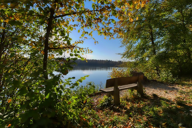 锡安在内线 锡安在内线