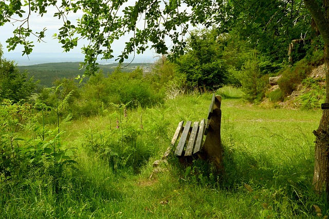 这背后折射 这背后折射
