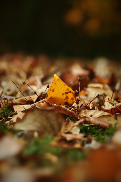 亨利冤枉了 亨利冤枉了