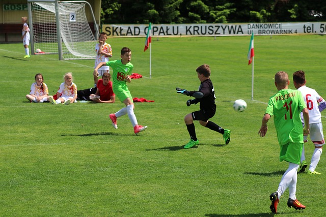 案例便是马 案例便是马