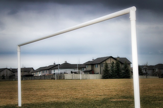 展的目标 展的目标