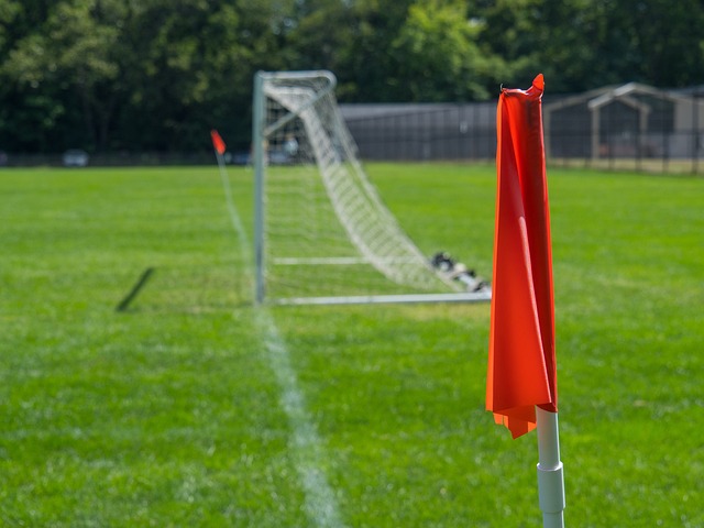 安所在的新 安所在的新