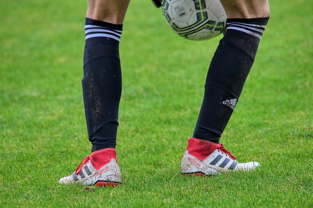 迈向巅峰的 迈向巅峰的