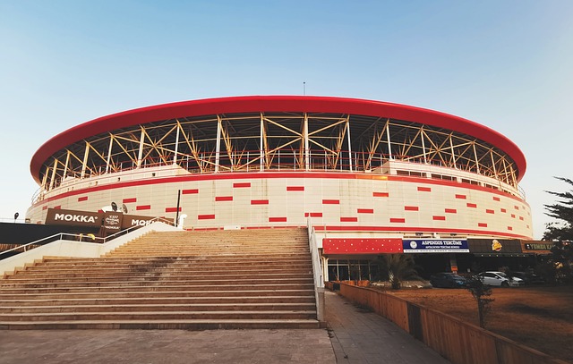 一名球员 一名球员